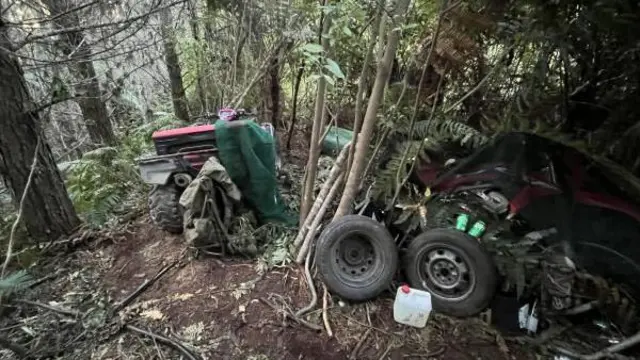 Imagens exclusivas: Esconderijo de Tom Phillips na Nova Zelândia - Imagem do artigo original