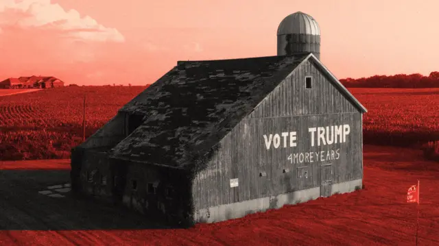 Impacto das Tarifas de Trump Ameaça Agronegócio dos EUA - Imagem do artigo original