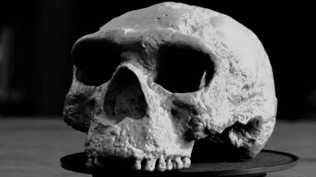 Crânio de 1 Milhão de Anos na China Redefine Evolução Humana - Imagem do artigo original
