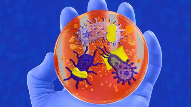 Micróbios Controlam Seu Sono: A Conexão com a Microbiota Corporal - Imagem do artigo original