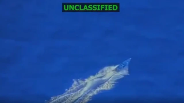 Ataques EUA Caribe: Petro critica “agressão” a barco - Imagem do artigo original