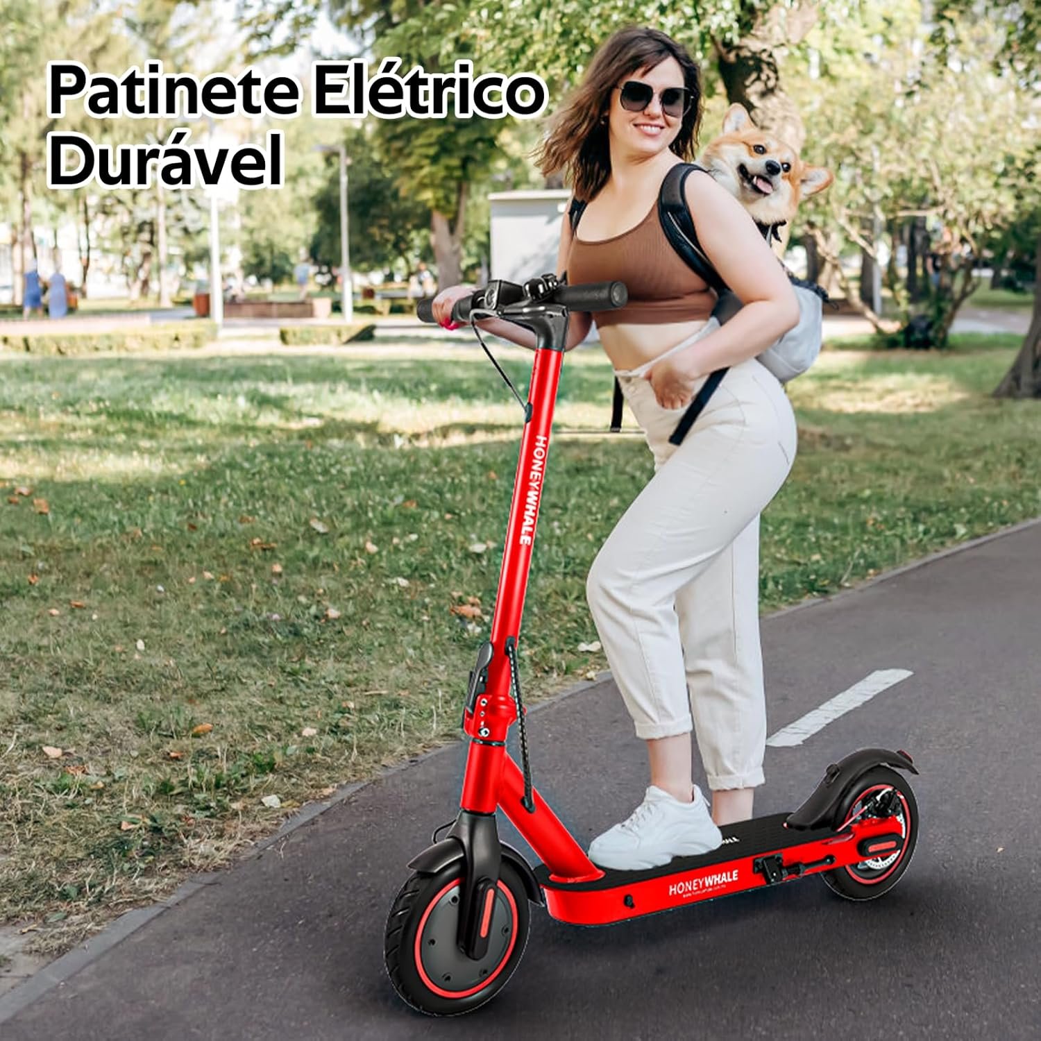 Patinete Elétrico Scooter Adulto – O Guia Completo para sua Próxima Compra!
